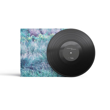 JJJJJEROME ELLIS - Vesper Sparrow - LP - Black Vinyl [NOV 14]