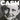 JOHNNY CASH - American VI: Ain't No Grave - LP - Vinyl