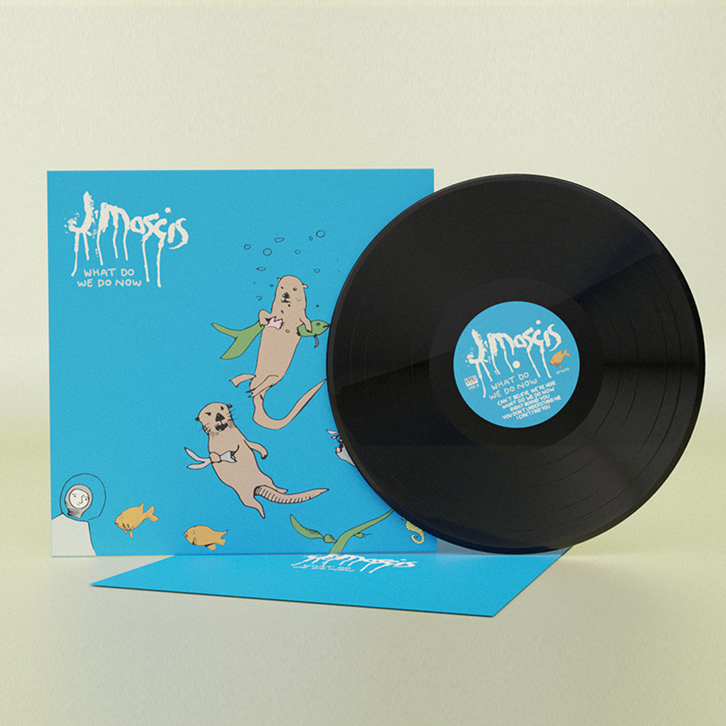 J MASCIS - What Do We Do Now - LP - Black Vinyl