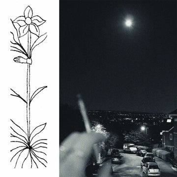 JABU - A Soft And Gatherable Star - LP - Vinyl