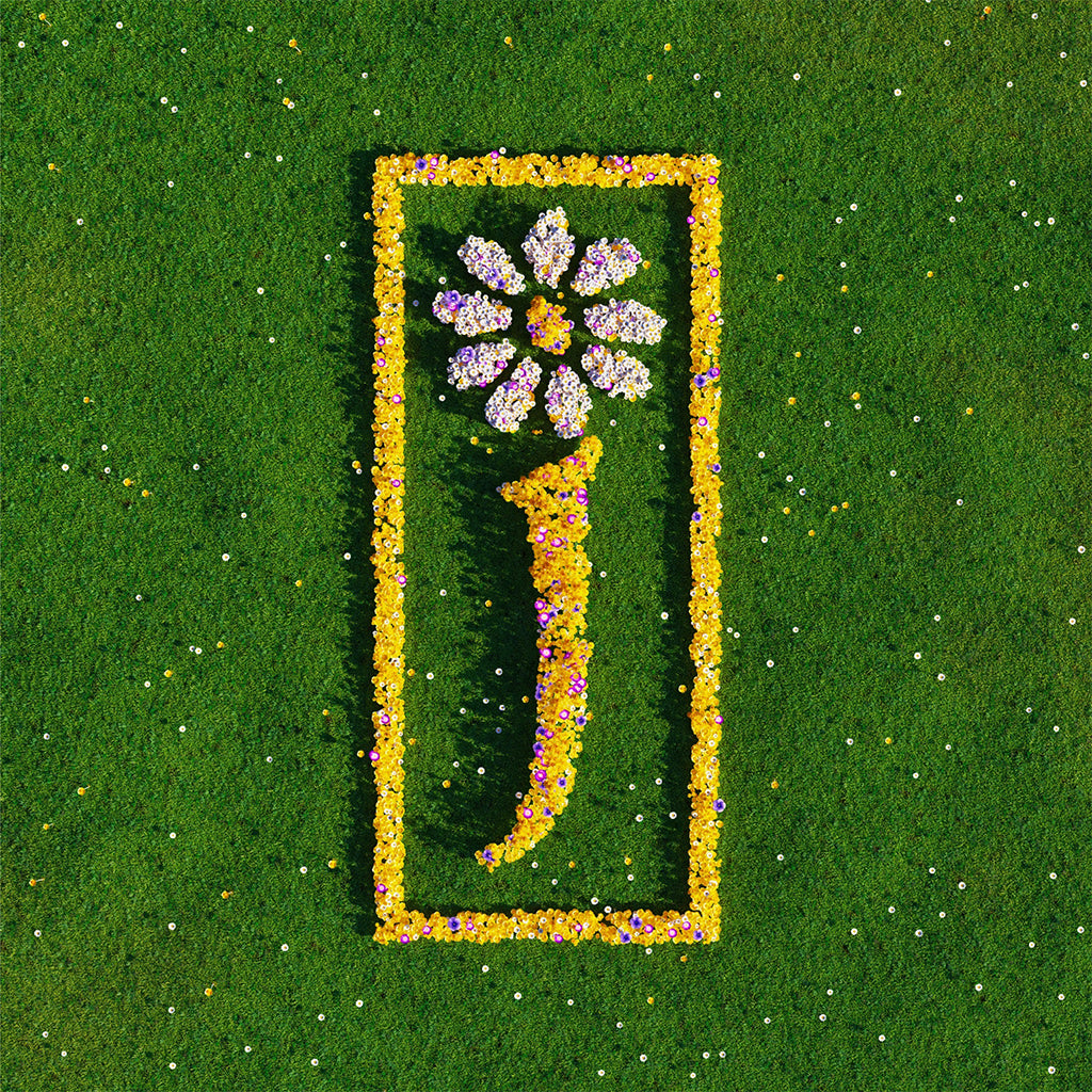 JAMES - Nothing But Love - The Definitive Best Of - 2LP - Black Vinyl [NOV 21]