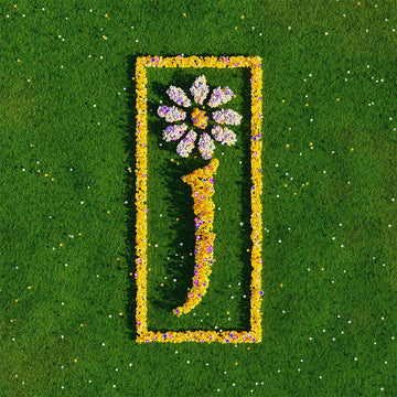 JAMES - Nothing But Love - The Definitive Best Of - 2LP - Black Vinyl [NOV 21]