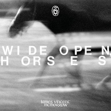 JAMES VINCENT MCMORROW - Wide Open, Horses - CD