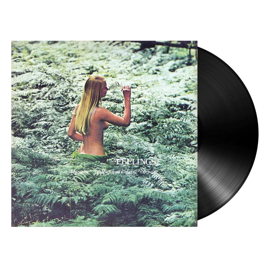 JAY RICHFORD AND GARY STEVAN - Feelings (2023 All-Analog Mastered Reissue) - LP - Vinyl