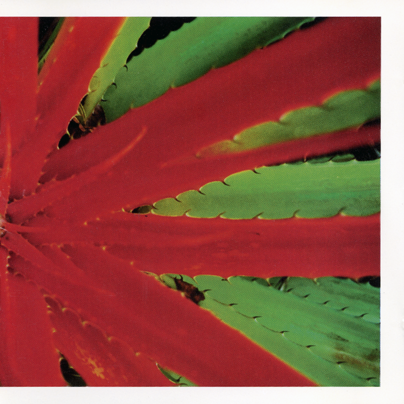 JEJUNE - This Afternoons Malady (Remastered) - 2LP - Black Vinyl [JAN 23]