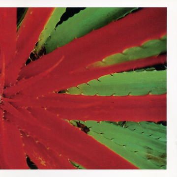 JEJUNE - This Afternoons Malady (Remastered) - 2LP - Black Vinyl [JAN 23]