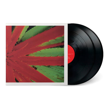 JEJUNE - This Afternoons Malady (Remastered) - 2LP - Black Vinyl [JAN 23]