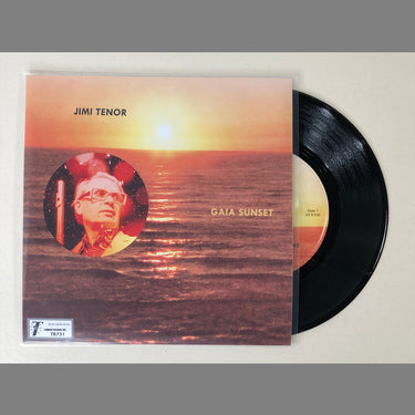 JIMI TENOR & COLD DIAMOND & MINK - Gaia Sunset - 7'' - Black Vinyl