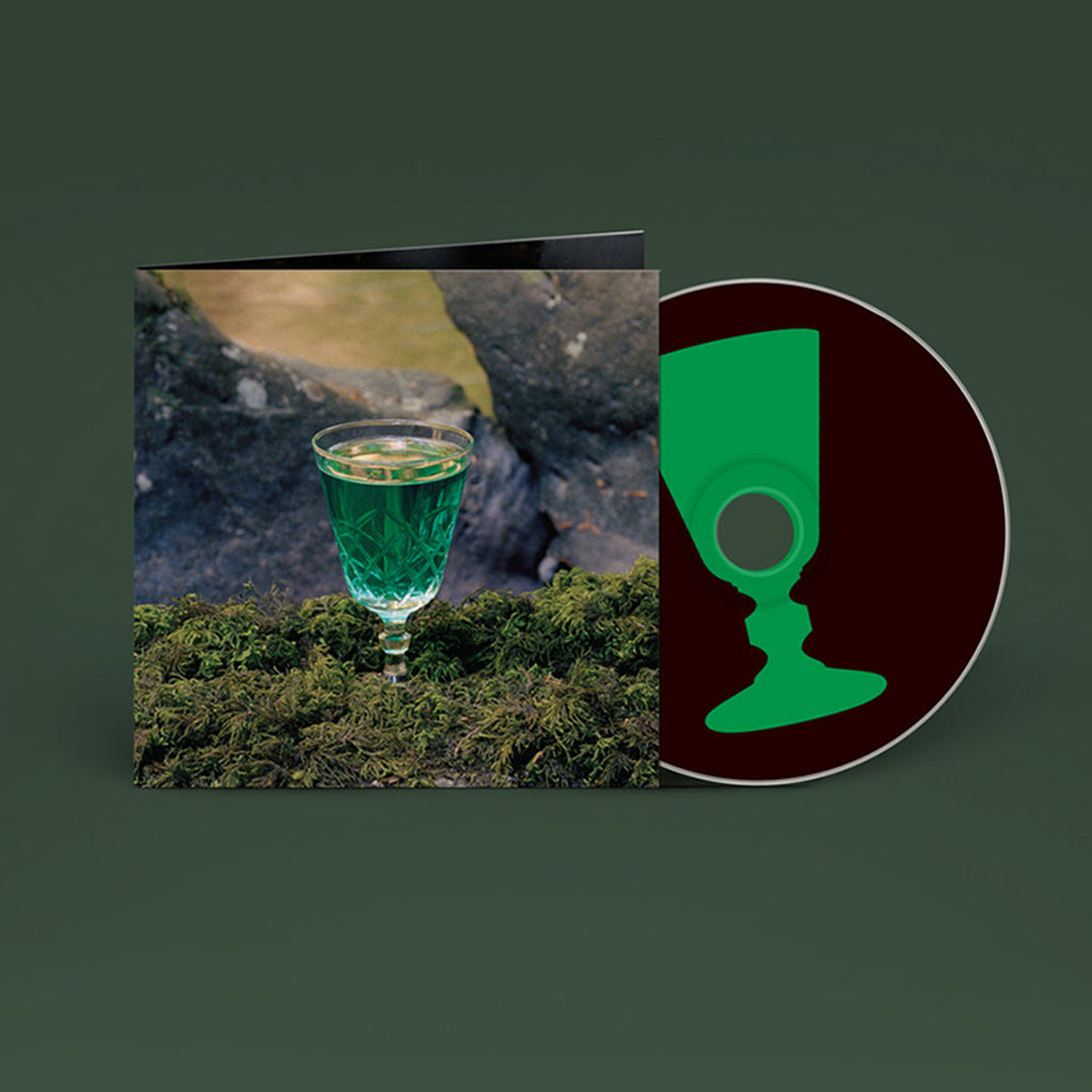 JOHN FRANCIS FLYNN - Look Over The Wall, See The Sky - CD