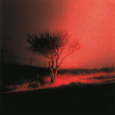 JOJI - Piss In The Wind - CD [FEB 6]