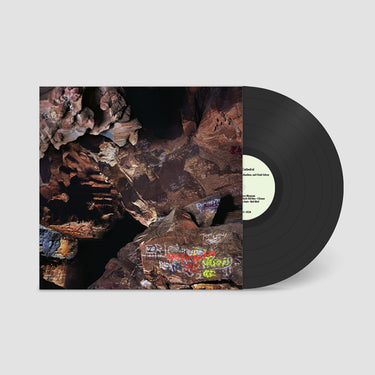 JOSEPH DECOSIMO, LUKE RICHARDSON, CLEEK SCHREY - Beehive Cathedral - LP - Vinyl