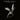 JOZEF VAN WISSEM & JIM JARMUSCH - The Day The Angels Cried - LP - Vinyl [JUN 6]