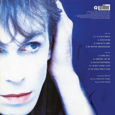 JULIAN COPE - My Nation Underground (Reissue) - LP - 180g Vinyl