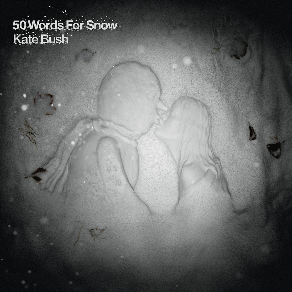 KATE BUSH - 50 Words For Snow (2018 Remaster w/ 20-page Booklet) - 2LP - 180g Snowy White Vinyl [NOV 24]