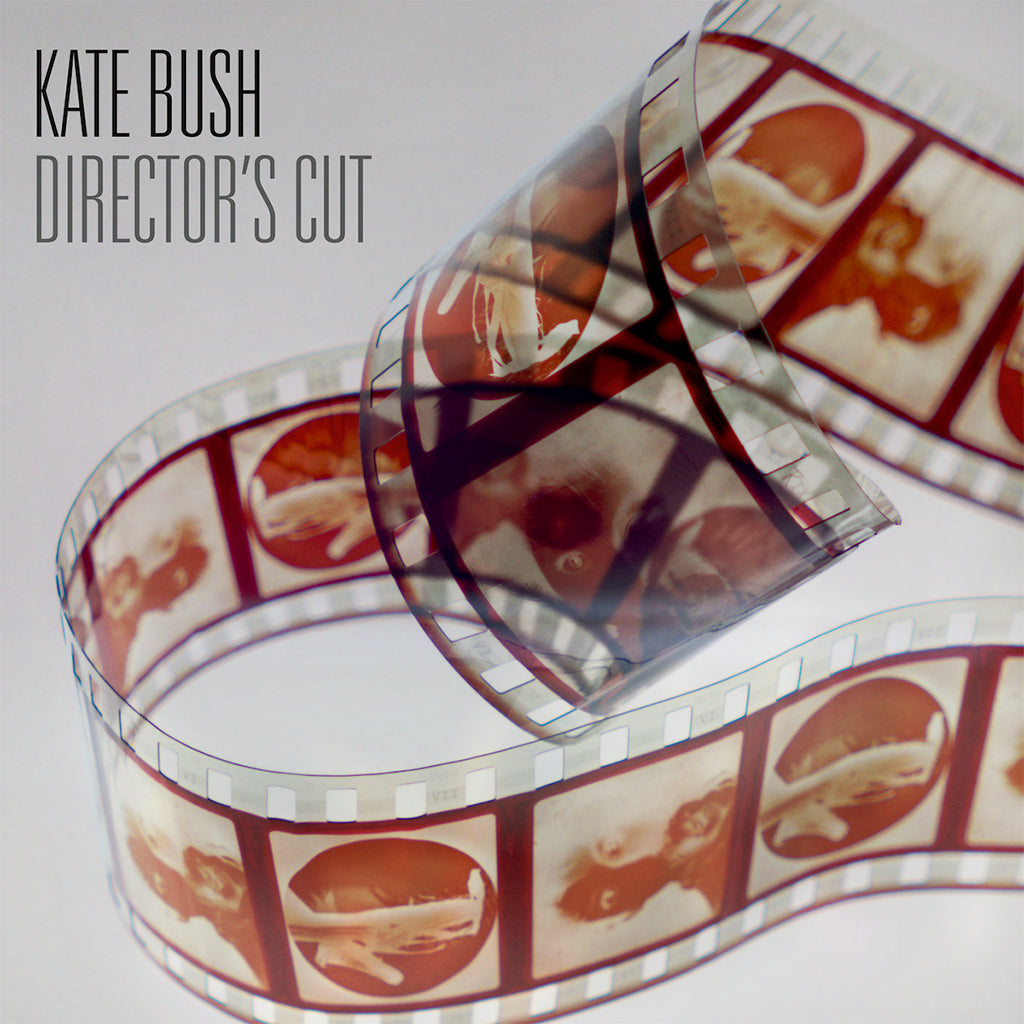 KATE BUSH - Director's Cut (2018 Remaster with 28-page booklet) - 2LP - 180g Hazy Red Vinyl [NOV 24]