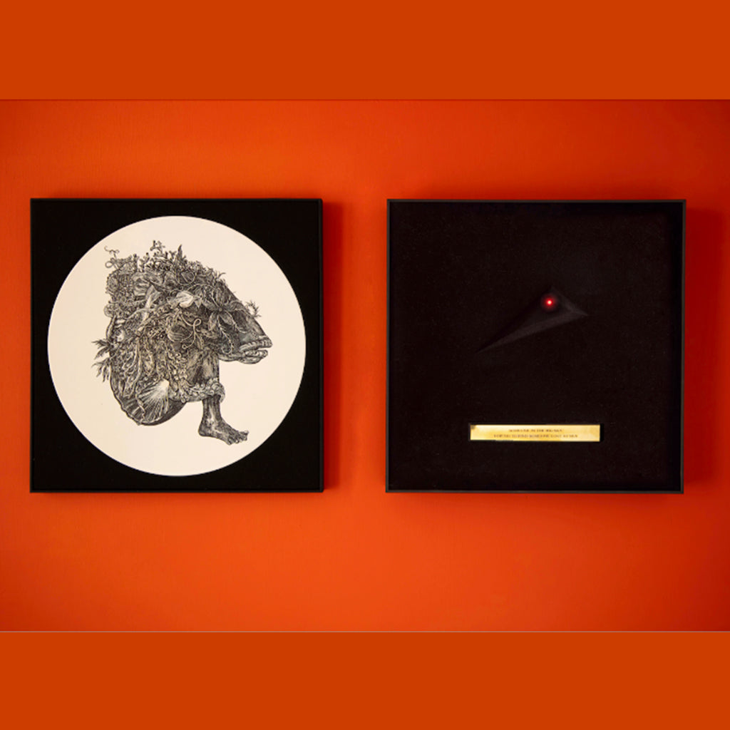 KATE BUSH - Hounds Of Love (Lost At Sea Edition) - Box B