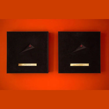 KATE BUSH - Hounds Of Love (Boxes Of Lost At Sea Edition) - Box A and B