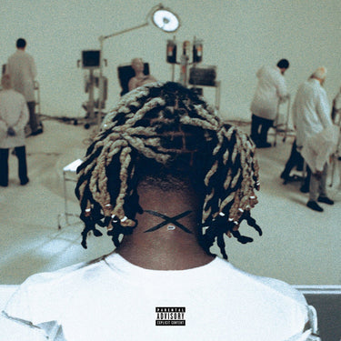 Vinyl 2LP