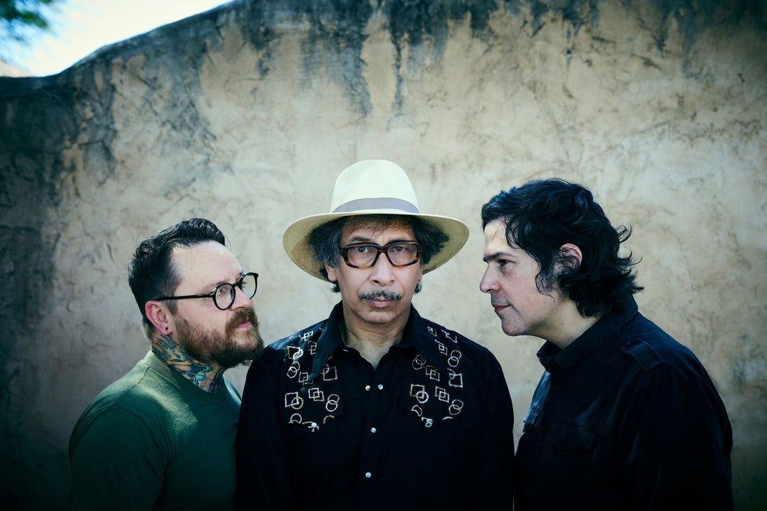 KID CONGO & THE PINK MONKEY BIRDS - That Delicious Vice - LP - Black Vinyl