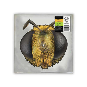 King Gizzard & The Lizard Wizard - Big Fig Wasp - 1LP - Picture Disc Shaped like the Face of a Bee  [Record Store Day 2026]