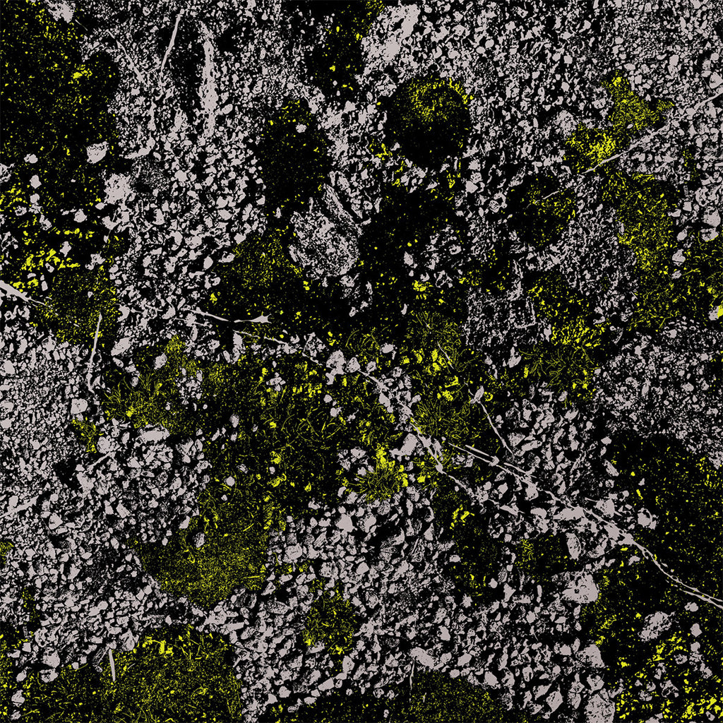 KING GIZZARD AND THE LIZARD WIZARD - Infest The Rats Nest (Live at Red Rocks 2022) - LP - Glow In The Dark Green Vinyl [JUN 23]