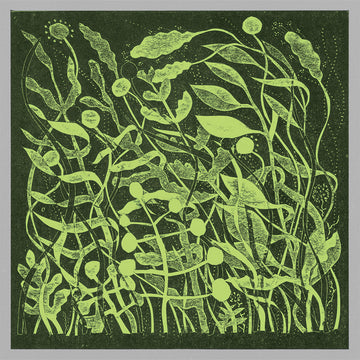 KIRK BARLEY - Lux - LP - Vinyl [MAR 21]