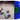 Limited Edition Translucent Blue Vinyl
