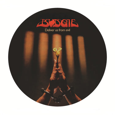 Limited Edition Picture Disc Vinyl LP