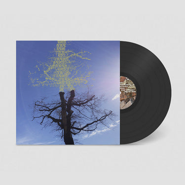 LAETITIA SADIER - Rooting For Love - LP - Black Vinyl
