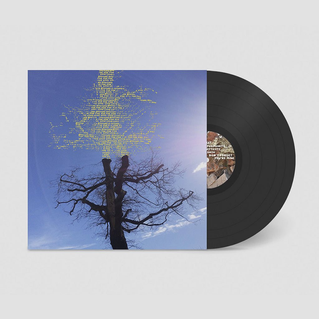 LAETITIA SADIER - Rooting For Love - LP - Black Vinyl [FEB 23]