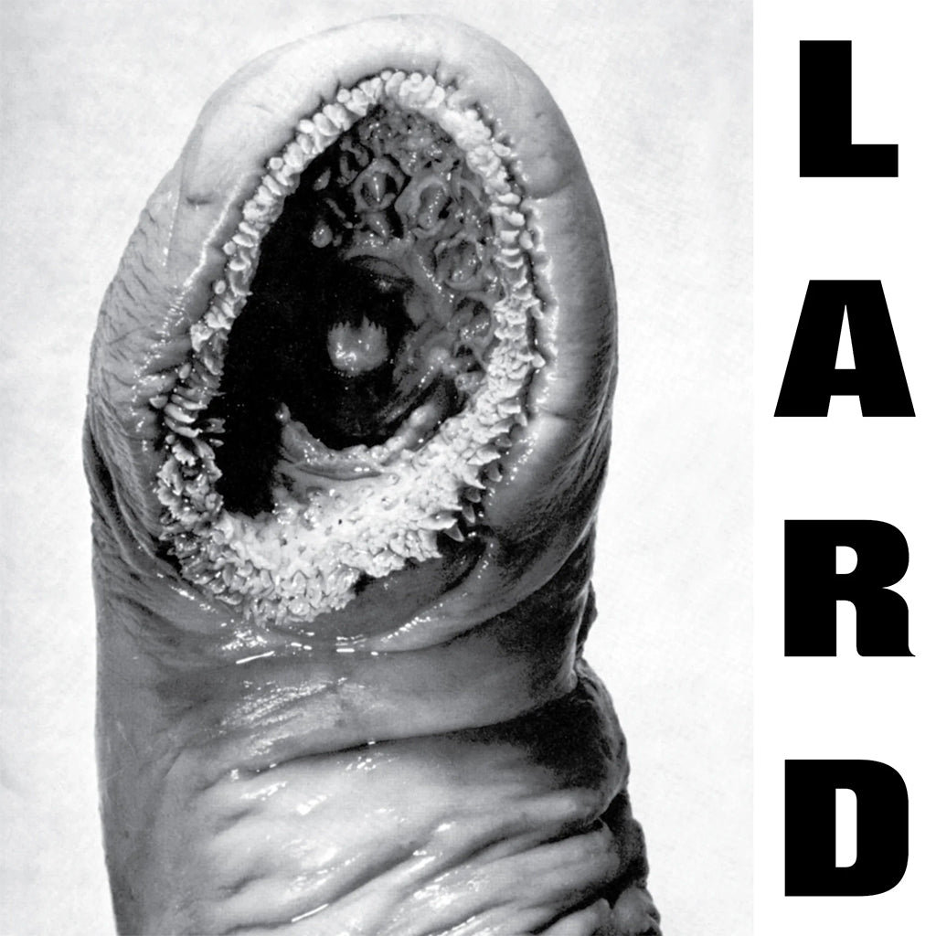 LARD - Power Of Lard (Reissue) - CD EP [AUG 1]