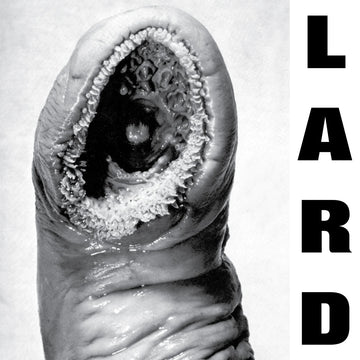 LARD - Power Of Lard (Reissue) - CD EP [AUG 1]
