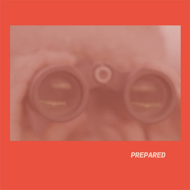 LAURA J MARTIN - Prepared - LP - Rose Pink Vinyl