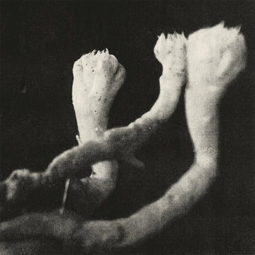 LÄUTEN DER SEELE - Unterhaltungen mit Larven und Überresten - LP - Vinyl [OCT 24]