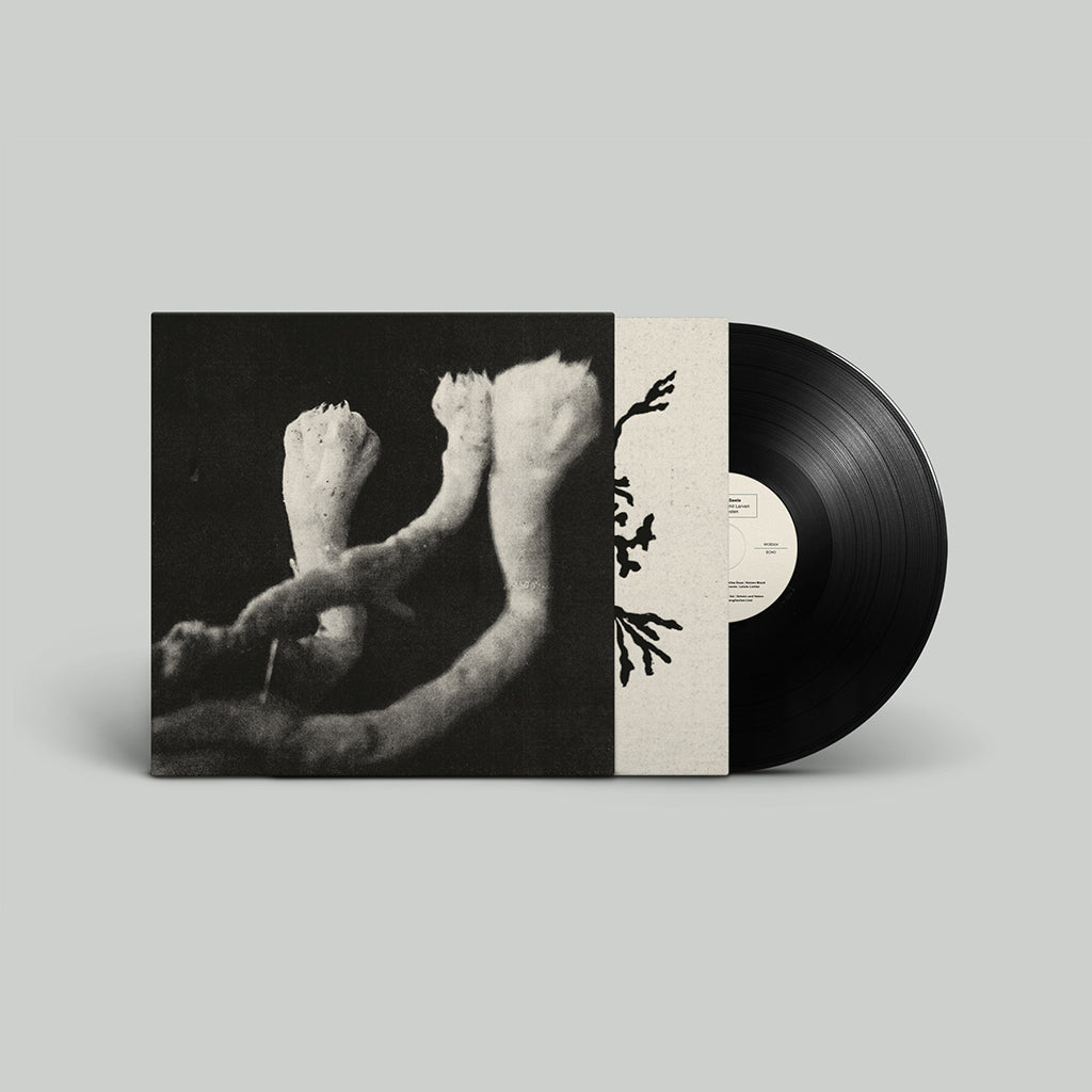 LÄUTEN DER SEELE - Unterhaltungen mit Larven und Überresten - LP - Vinyl [OCT 24]