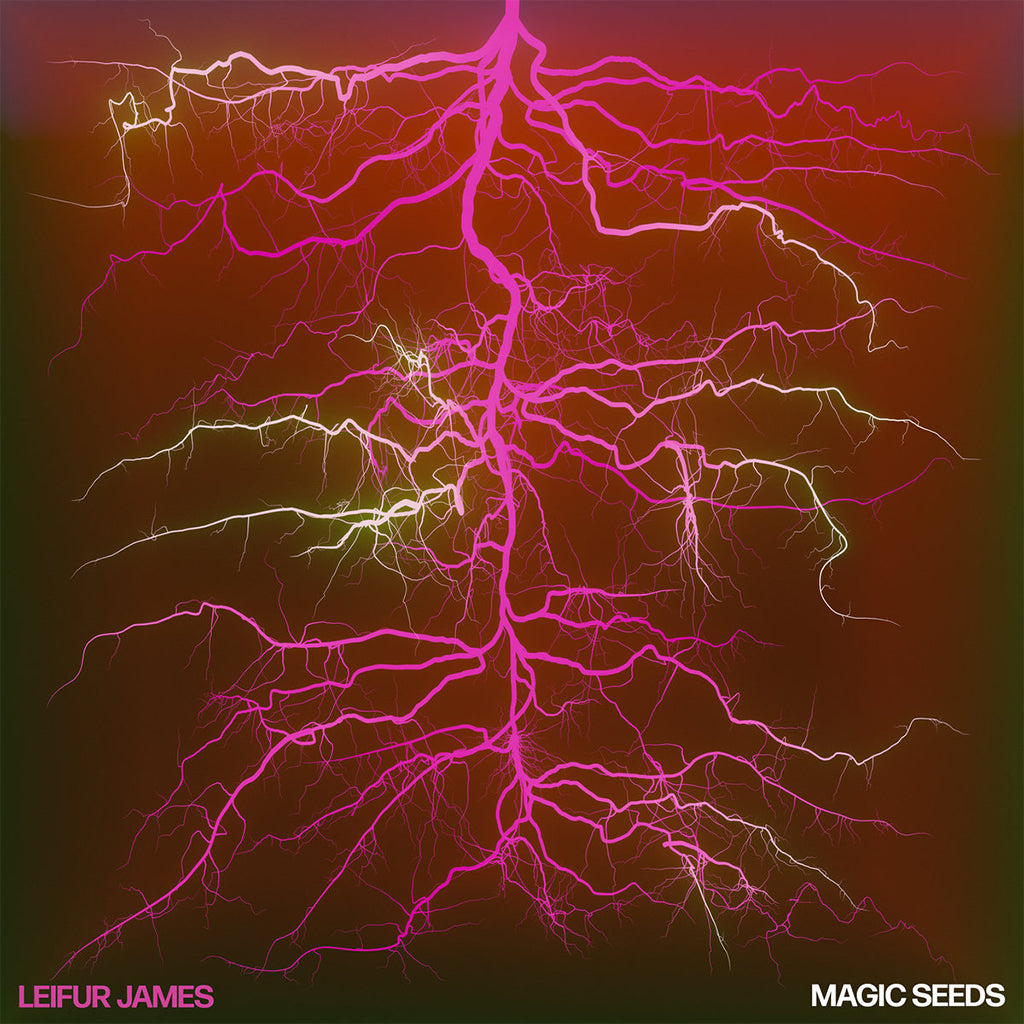 LEIFUR JAMES - Magic Seeds - LP - Vinyl [NOV 8]
