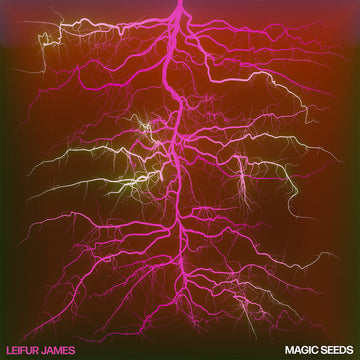 LEIFUR JAMES - Magic Seeds - LP - Vinyl [NOV 8]