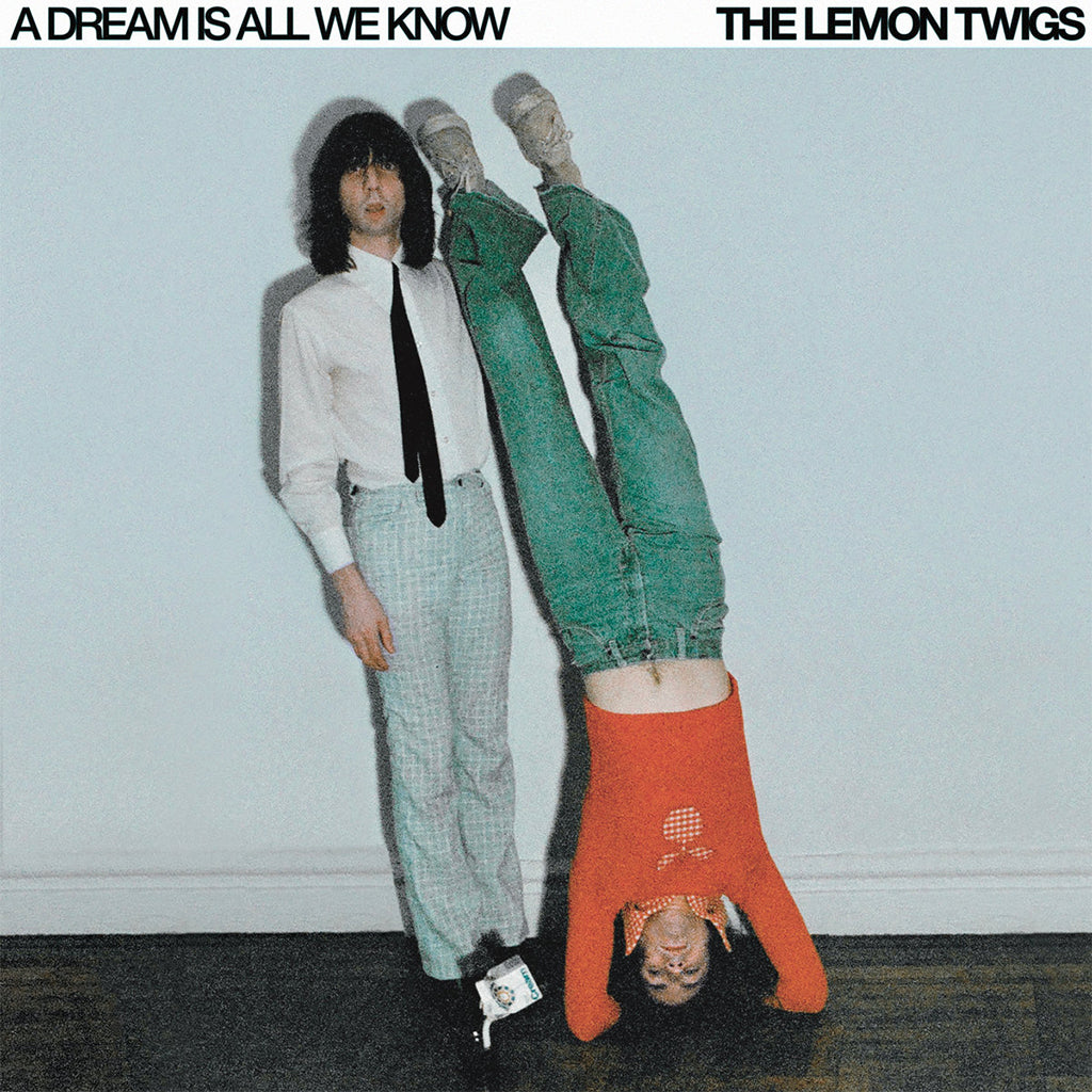 THE LEMON TWIGS - A Dream Is All We Know - CD