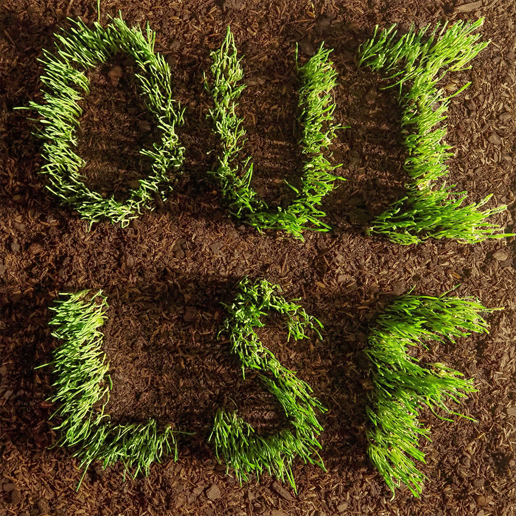 LES SAVY FAV - OUI, LSF  - LP - Opaque Evergreen Vinyl