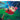 LITTLE FEAT - Sailin’ Shoes (Deluxe Edition with Booklet) - 3LP - Vinyl Set