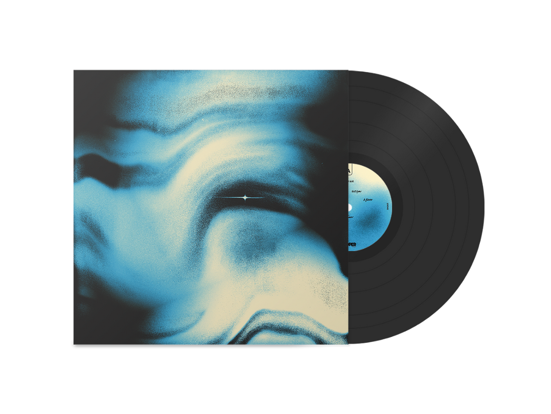 LUKE TITUS - From What Was Will Grow A Flower - LP - Black Vinyl [APR 25]