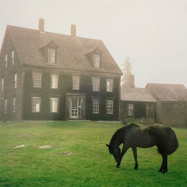 LUTALO - The Academy - LP - Meadow Green Vinyl