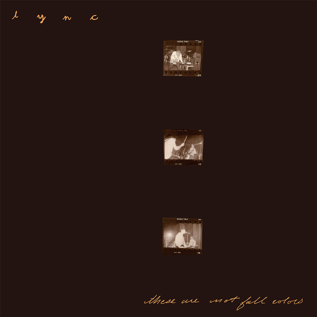LYNC - These Are Not Fall Colors (Repress) - LP - 180g Colour Blend Vinyl