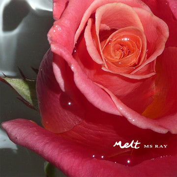 MS RAY - MELT - 12'' EP - Vinyl [MAR 27]
