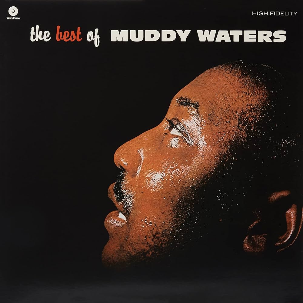MUDDY WATERS - The Best Of - LP - Vinyl