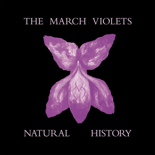 The March Violets - Natural History - 1LP - Violet Vinyl  [Record Store Day 2026]