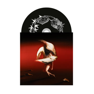 MARUJA - Pain To Power - Recycled CD [SEP 12]