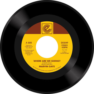 MARVIN GAYE - Where Are We Going? b/w Woman Of The World - 7'' - Vinyl [NOV 29]