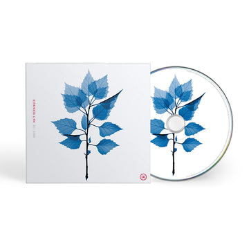 MATT BERNINGER - Get Sunk - CD