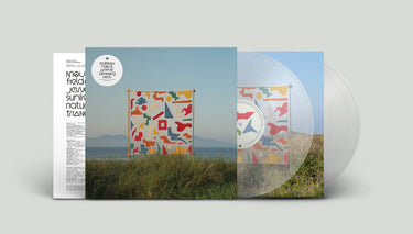 MATTHEW HALSALL - An Ever Changing View - 2LP - Clear Vinyl